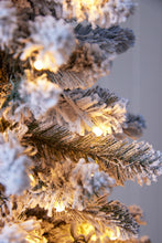 Load image into Gallery viewer, 5.5ft Scandinavian Slim Fir Tree- Flocked - PICK UP ONLY