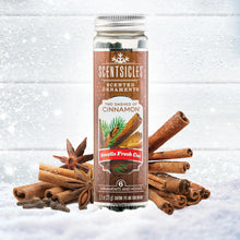 Load image into Gallery viewer, Scentsicles- Two Dashes Of Cinnamon