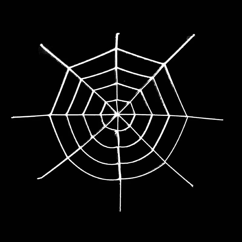 2M Spider Web
