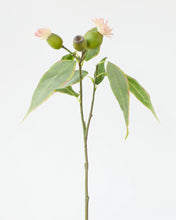 Load image into Gallery viewer, Eucalyptus Flower Spray Pick
