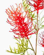 Load image into Gallery viewer, Red Grevillea Spray Pick
