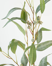 Load image into Gallery viewer, Eucalyptus Spray Pick

