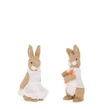 Load image into Gallery viewer, Miss Daisy
