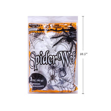 Load image into Gallery viewer, Spider Web With Spiders
