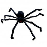 Halloween Spider With Red Eyes