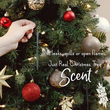 Load image into Gallery viewer, Scentsicles- Icicles On Spruce
