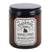 Load image into Gallery viewer, Toadstool Tonic Lavender Grass Candle

