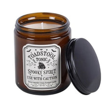 Load image into Gallery viewer, Toadstool Tonic Lavender Grass Candle
