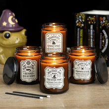 Load image into Gallery viewer, Toadstool Tonic Lavender Grass Candle
