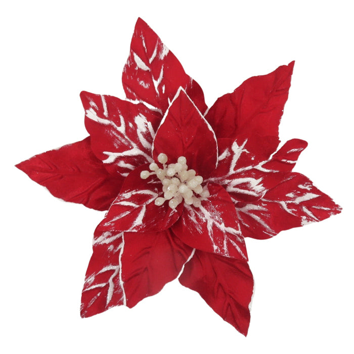 Clip On Red Poinsettia With White Details