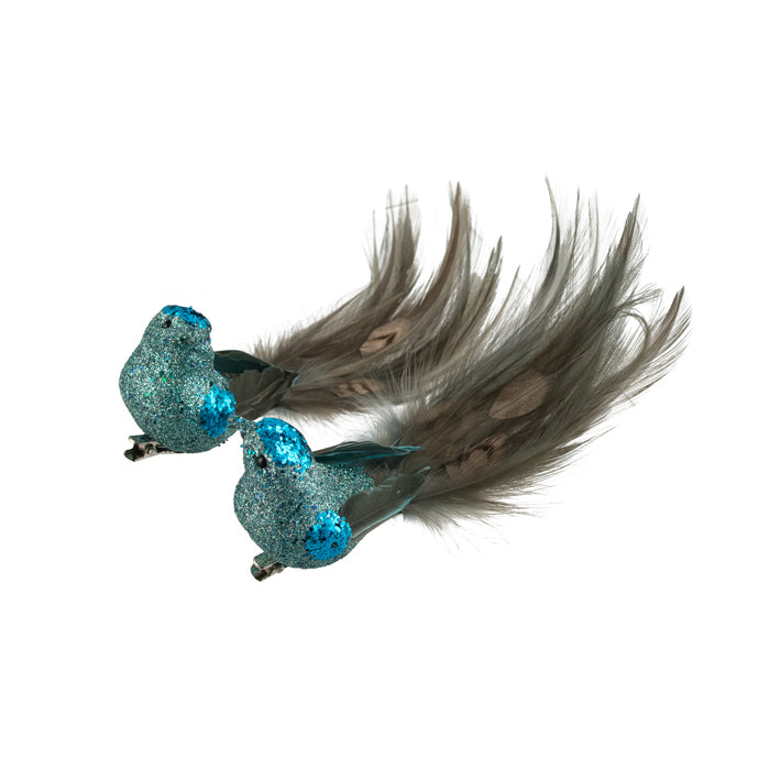 Blue Feathered Peacock Clip on Bird - Two Assorted