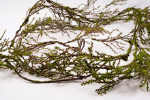 Load image into Gallery viewer, 190CM L Woodland Moss Garland
