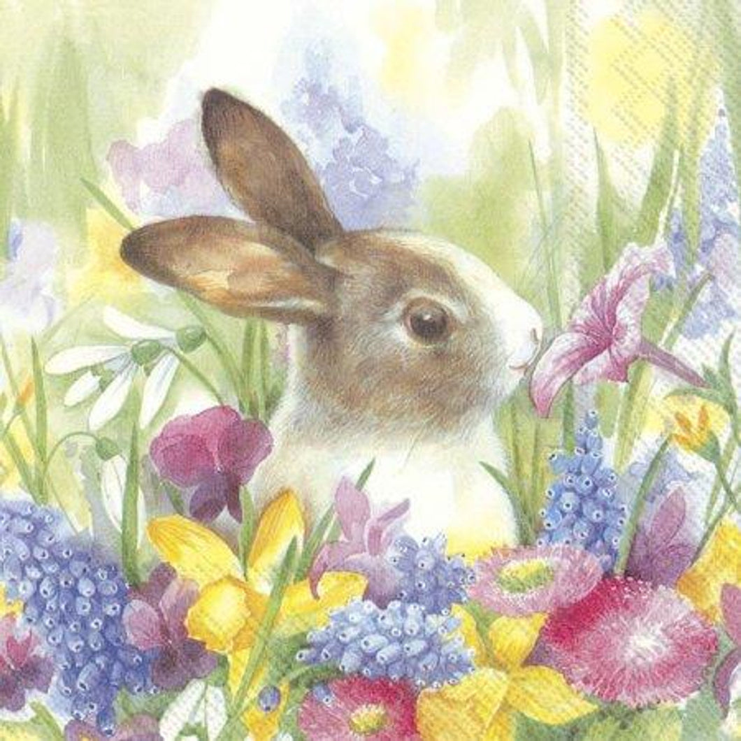 Ruby in The Meadow Cocktail Napkin