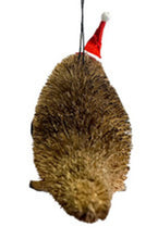 Load image into Gallery viewer, Hanging Platypus Ornament
