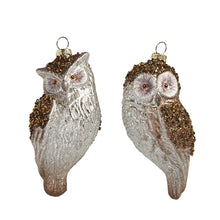 Load image into Gallery viewer, RAZ Hanging Owl Ornament - 2 Assorted

