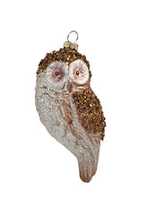 Load image into Gallery viewer, RAZ Hanging Owl Ornament - 2 Assorted
