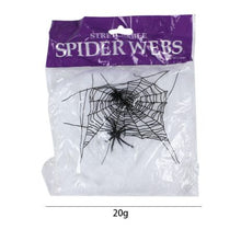 Load image into Gallery viewer, Spider Web With Spiders

