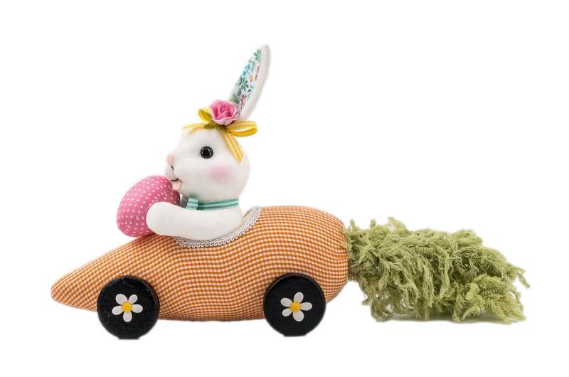 Bunny in Orange Carrot Car