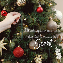 Load image into Gallery viewer, Scentsicles- White Winter Fir
