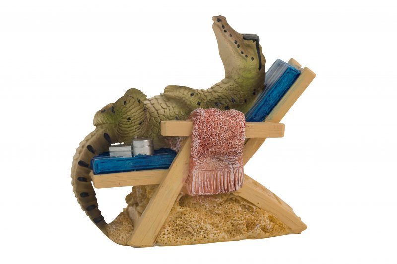 Crocodile on Deck Chair