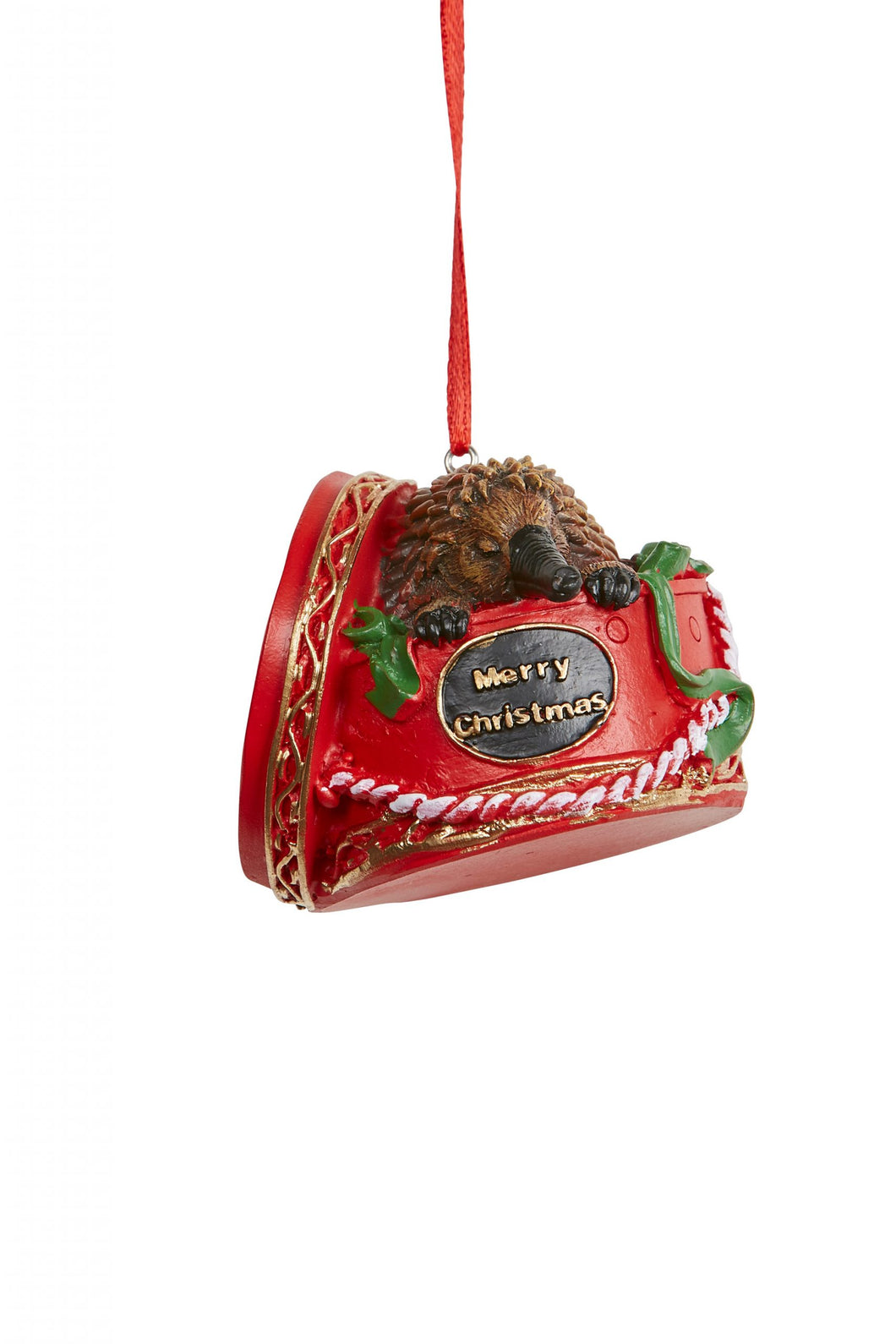 Echidna in Giftbox Hanging Decoration