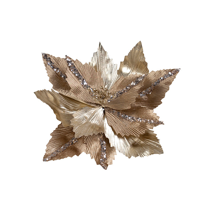 Clip on Poinsettia Champagne Luxe