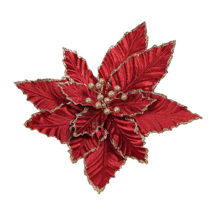 XL Clip On Poinsettia Burgundy With Gold Details