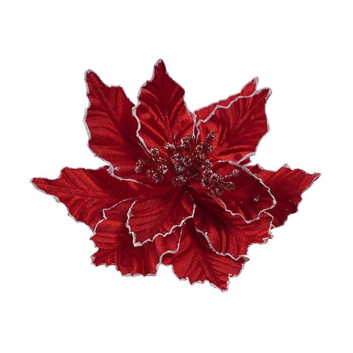Clip On Poinsettia Red With White Edging Detail