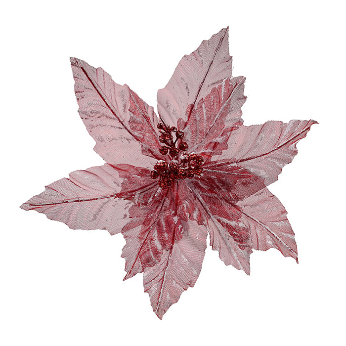 Clip On Poinsettia Sheer Red and White