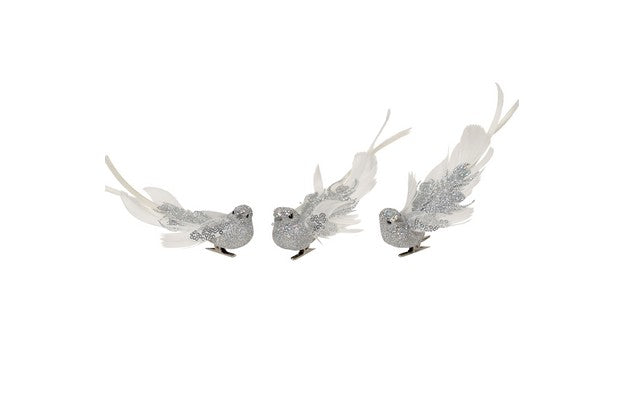 Feather Silver Bird White Wings