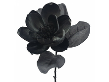 Load image into Gallery viewer, Black Magnolia
