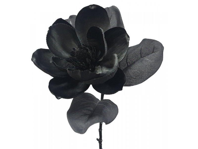 Black Magnolia Floral