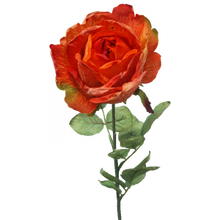 Load image into Gallery viewer, Burnt orange Rose
