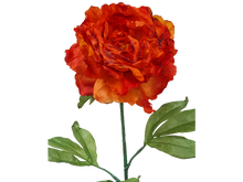 Load image into Gallery viewer, Burnt orange Peony floral
